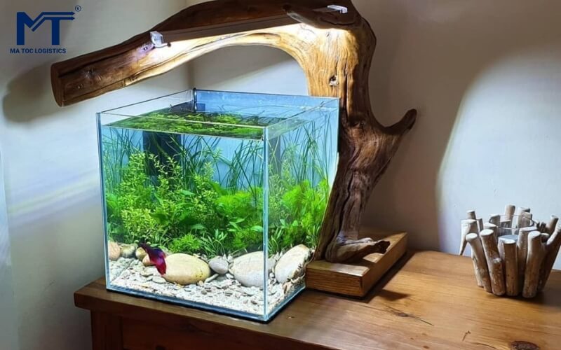 Máy sủi oxy giúp tăng cường trao đổi khí cho hồ cá cảnh